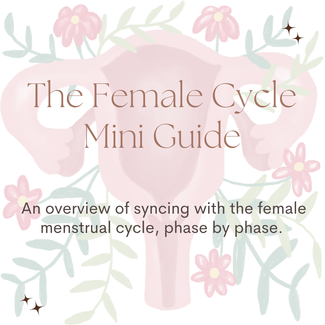 The Female Cycle Mini Guide