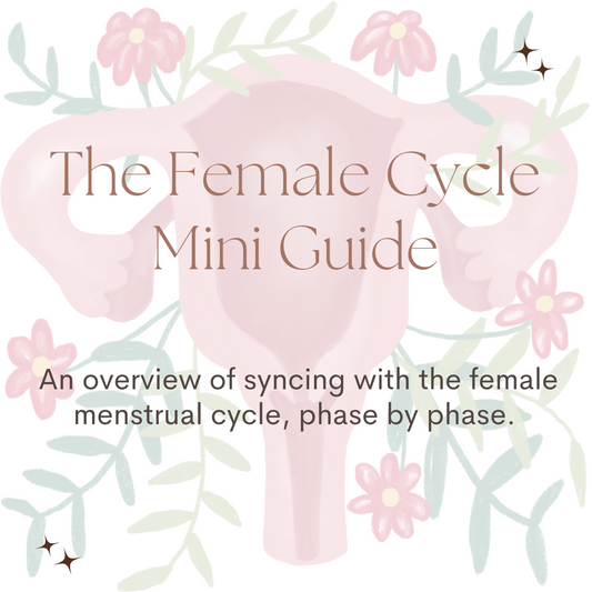 The Female Cycle Mini Guide